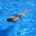Schwimmen