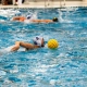 Wasserball Spiel